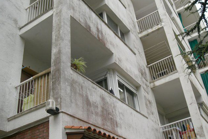 fachada en sevilla con ongos moho y verdina